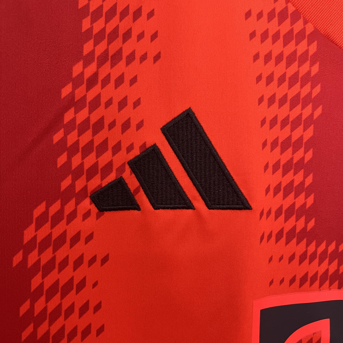 BAYERN MUNICH I 24/25 MEN